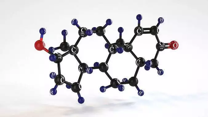 Hormone DHT สาเหตุของศีรษะล้าน - สาระน่ารู้จาก Jhair